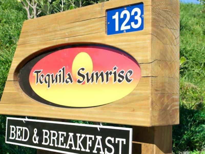 Napier B&B - Tequila Sunrise Eskdale Extérieur photo